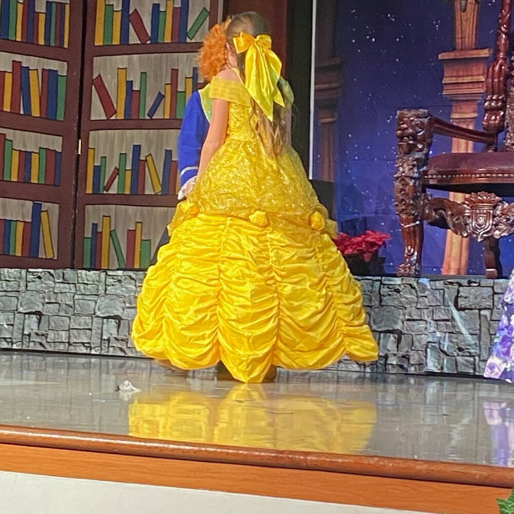 Belle Ball Gown